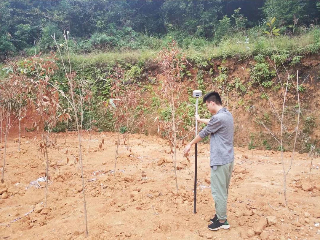 �������벿��Ŀ��ʵح���������������������ĵر�ɣ�