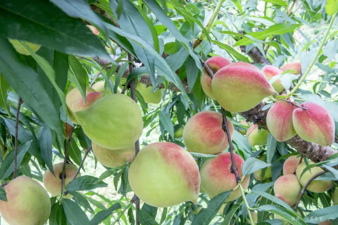 ��ũ�������Դӥ�����������óԡ��ҡ�������