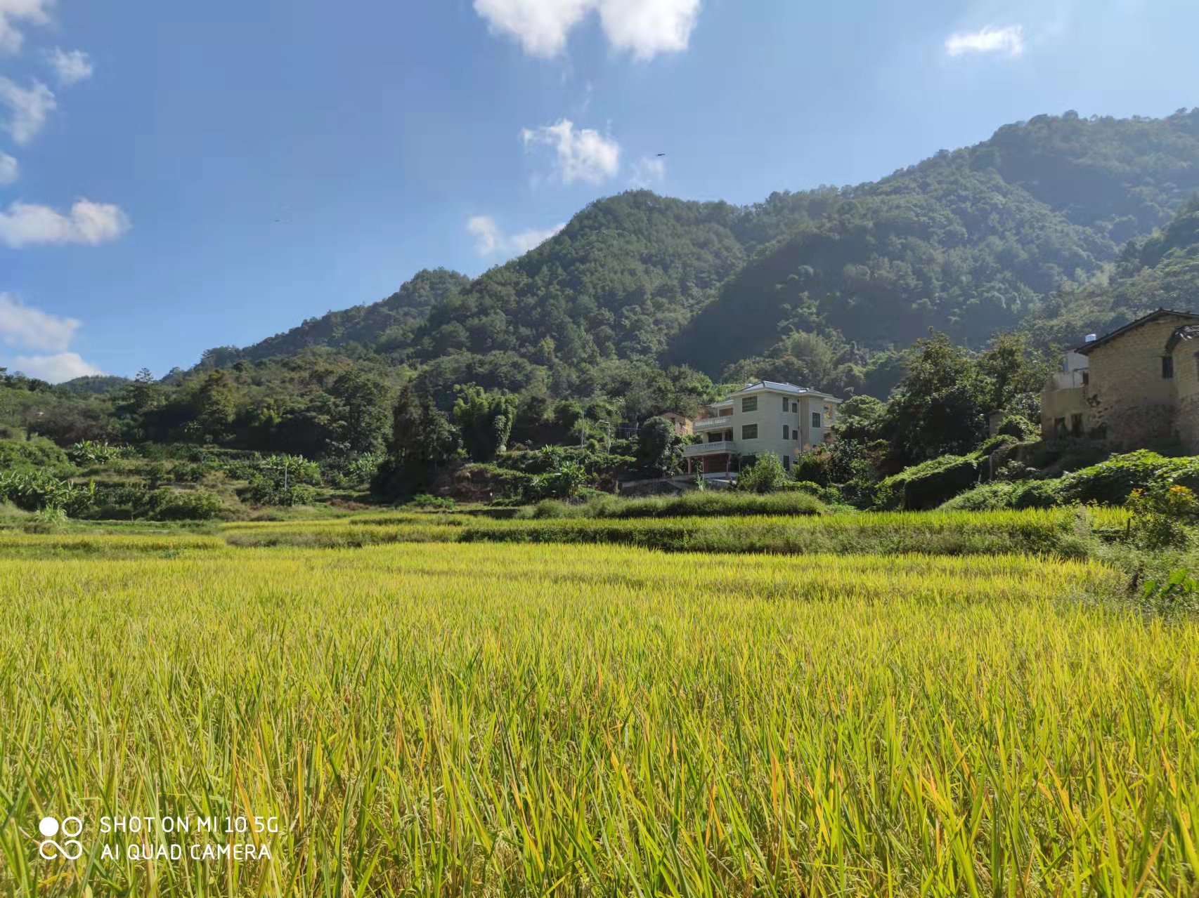 �ָ���������������Ŀ��ô�������������л�˵